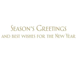 Caspari Christmas And Holiday Cards|Boxed Holiday Cards|Afternoon in the Northwest Large Boxed Christmas Cards - includes 15 cards & envelopes