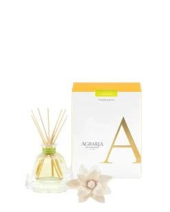 Agraria Home Fragrance & Candles|Petite Essence Diffuser in Lemon Verbena - 1 Each