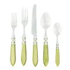 Vietri Summer Picnic|Halloween|Aladdin Brilliant Chartreuse Five-Piece Place setting