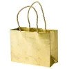 Caspari Christmas Gift & Bottle Bags|Graduation Celebration|Antique Gold Small Gift Bag - 1 Each