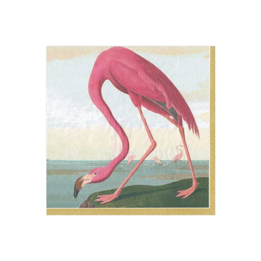 Caspari Paper Cocktail Napkins|Audubon Birds Paper Cocktail Napkins - 20 Per Package