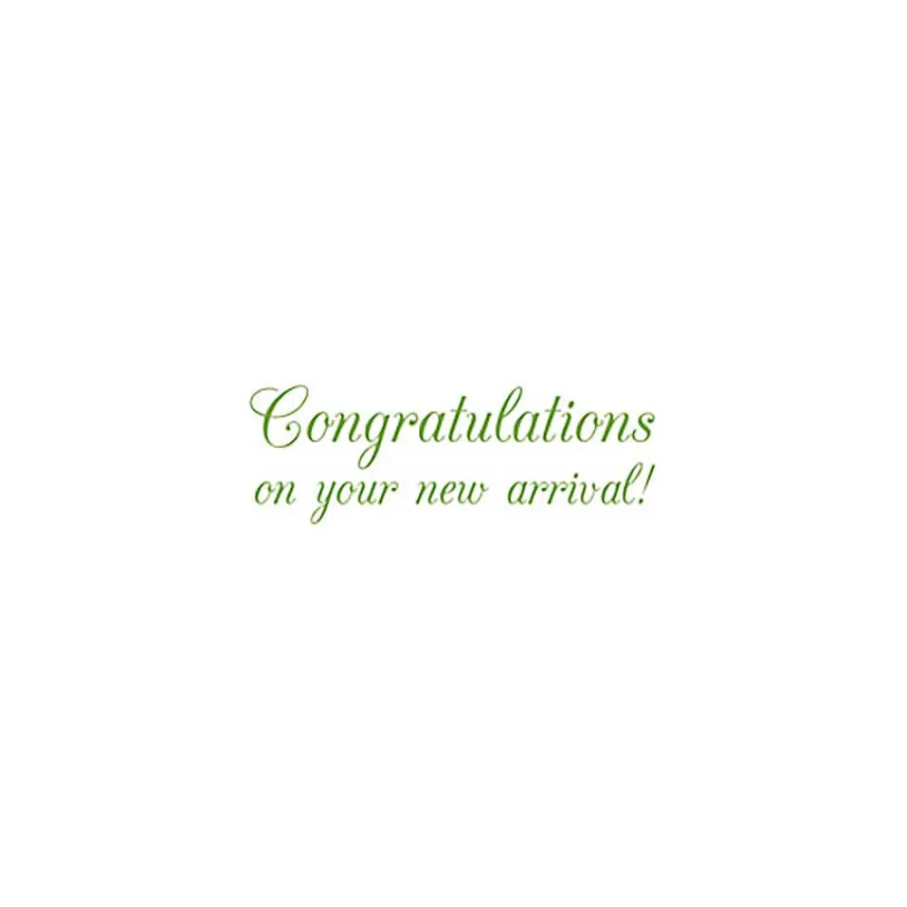 Caspari Baby Shower|Greeting Cards|Baby - Set Of Six Greeting Cards And Envelopes