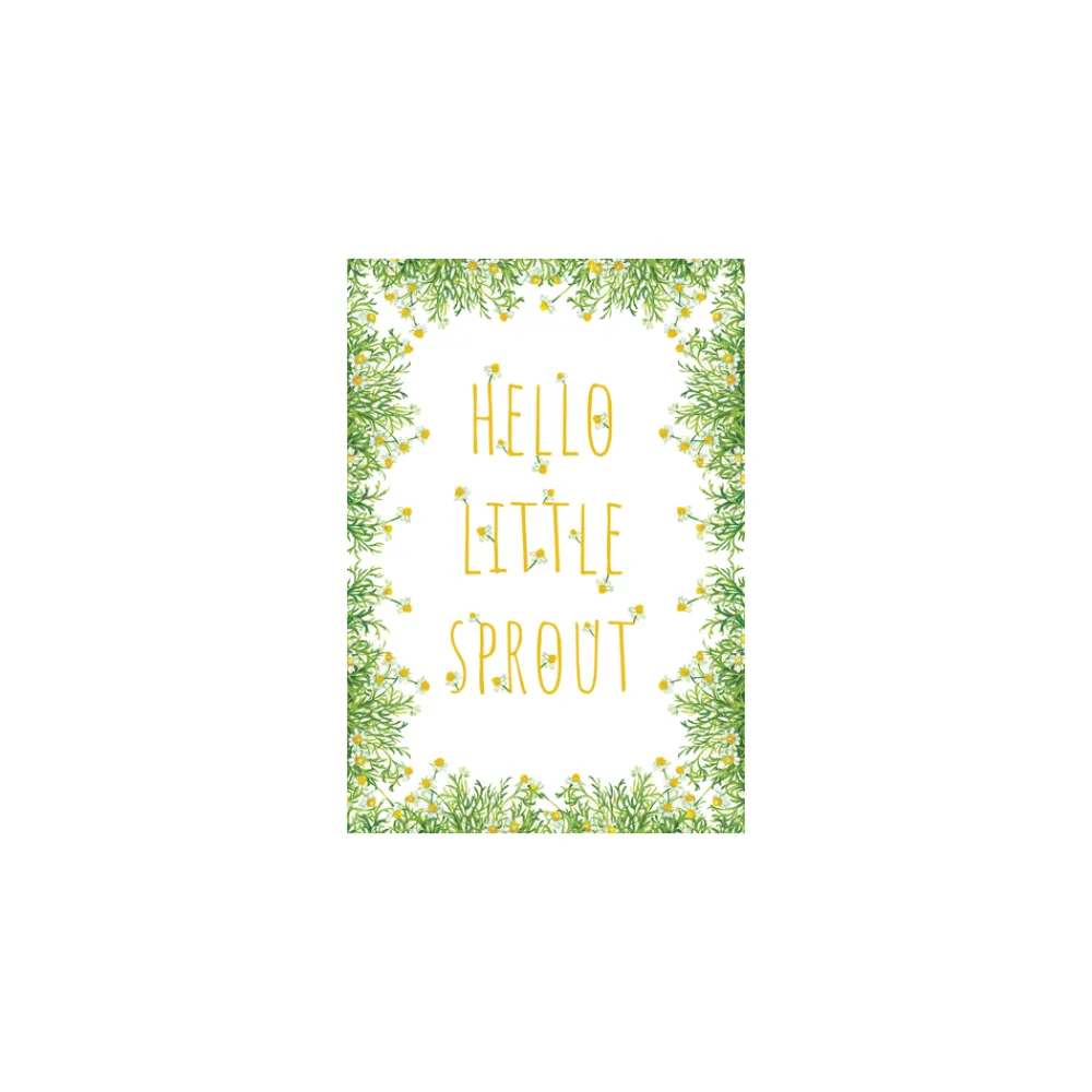 Caspari Baby Shower|Greeting Cards|Baby - Set Of Six Greeting Cards And Envelopes