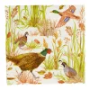 Caspari Paper Cocktail Napkins|Birds Of A Feather Cocktail Napkins - 20 Per Package