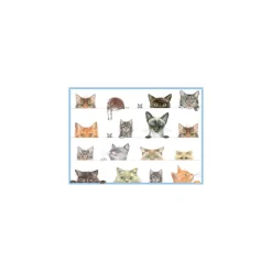 Caspari Birthday|Greeting Cards|Birthday Party Animals - Set Of Six Greeting Cards And Envelopes