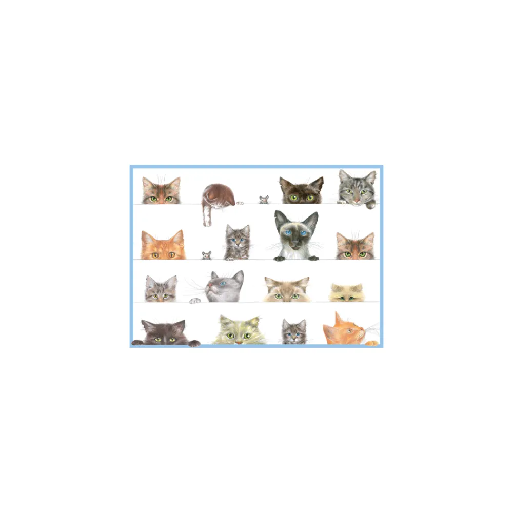 Caspari Birthday|Greeting Cards|Birthday Party Animals - Set Of Six Greeting Cards And Envelopes