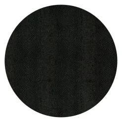 Caspari Graduation Celebration|Placemats|Black Lizard Felt-Backed Placemats - 2 Each
