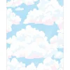Caspari Gift Tags & Enclosure Cards|Blue Skies Enclosure Cards & Envelopes - 4 Mini Cards & 4 Envelopes
