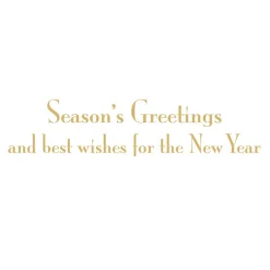 Caspari Christmas And Holiday Cards|Boxed Holiday Cards|Botanical Noel And Fretwork Small Boxed Christmas Cards - includes 15 cards & envelopes