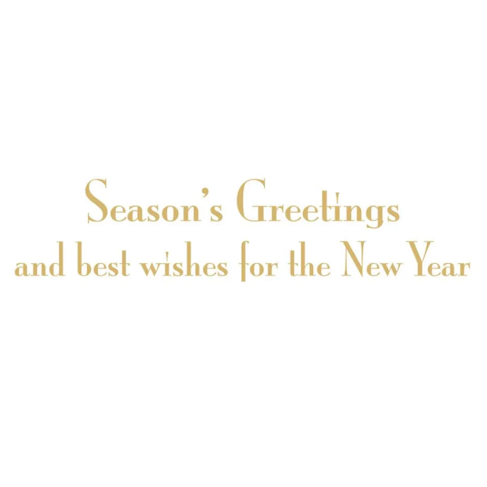 Caspari Christmas And Holiday Cards|Boxed Holiday Cards|Botanical Noel And Fretwork Small Boxed Christmas Cards - includes 15 cards & envelopes