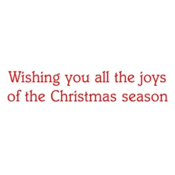 Caspari Christmas And Holiday Cards|Boxed Holiday Cards|Botanical Ornaments Small Boxed Christmas Cards - includes 15 cards & envelopes