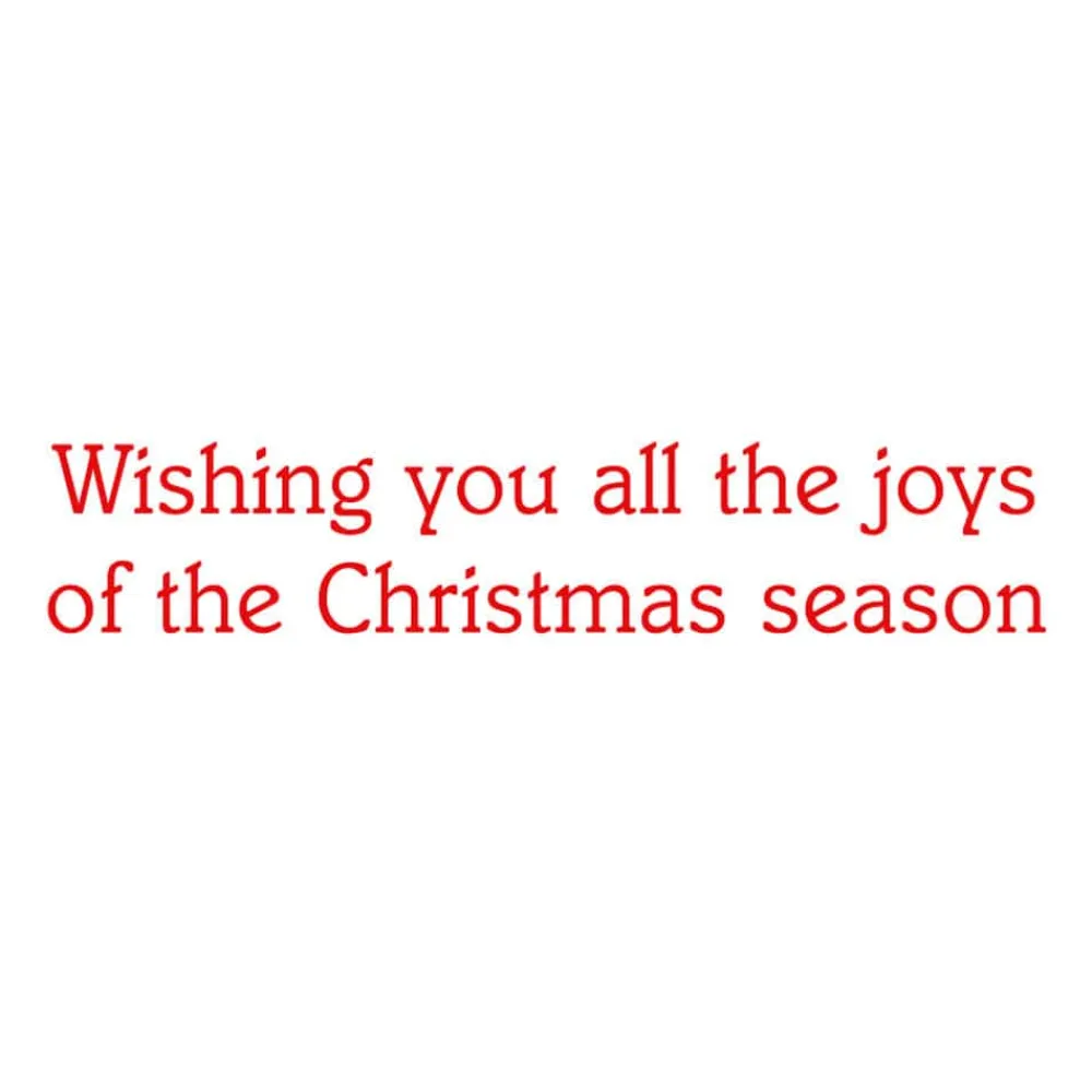 Caspari Christmas And Holiday Cards|Boxed Holiday Cards|Botanical Ornaments Small Boxed Christmas Cards - includes 15 cards & envelopes