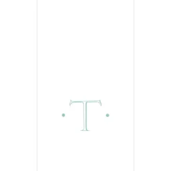 Personalization by Caspari Mother'S Day|Initial Napkins|Caspari Antique Robin's Egg Single Initial Guest Towel Napkins - 24 Per Box