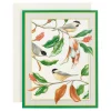 Caspari Christmas And Holiday Cards|Boxed Holiday Cards|Chickadee And Magnolia Large Boxed Christmas Cards - includes 15 cards & envelopes