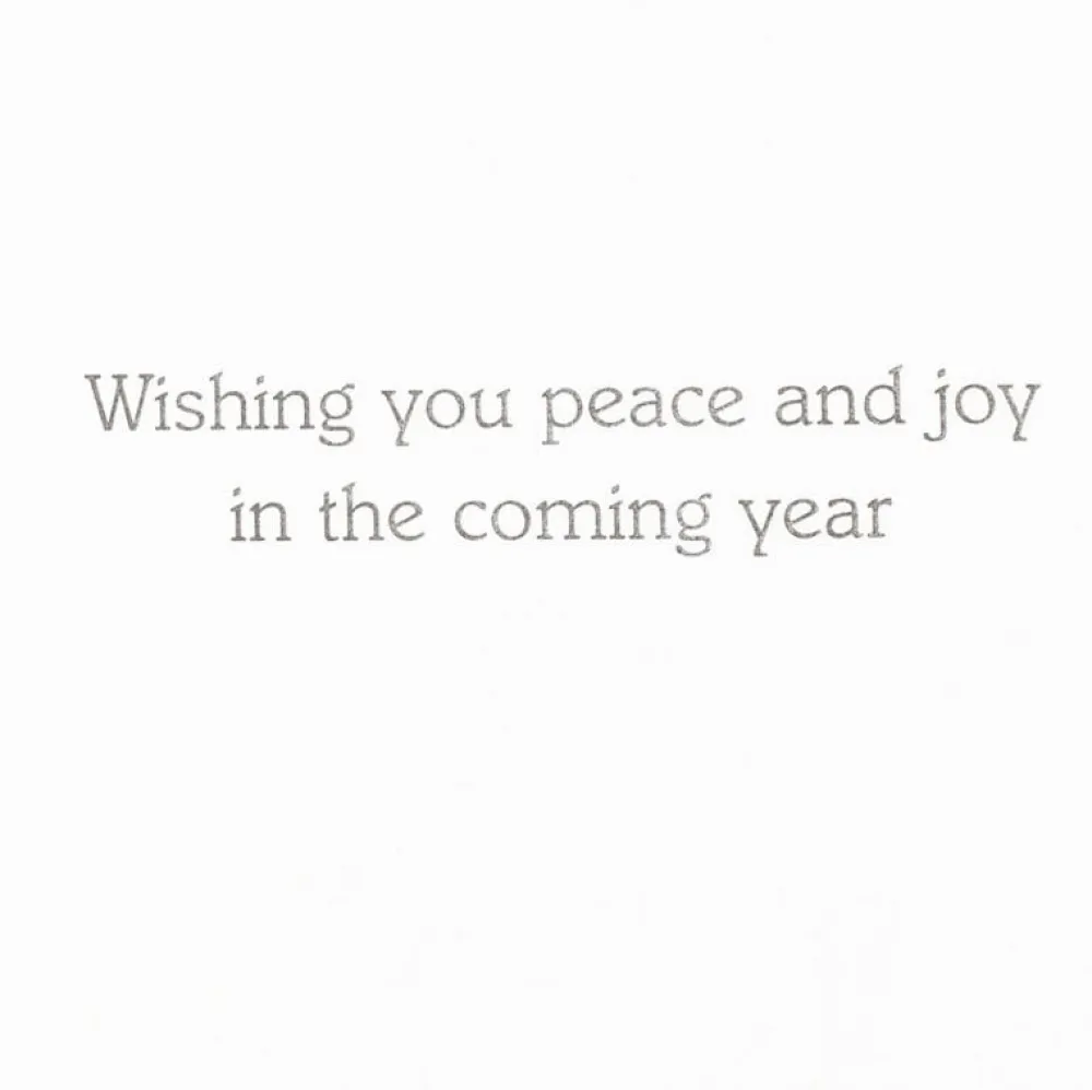 Caspari Christmas And Holiday Cards|Boxed Holiday Cards|Chickadee And Magnolia Large Boxed Christmas Cards - includes 15 cards & envelopes