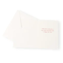 Caspari Christmas And Holiday Cards|Boxed Holiday Cards|Christmas Birdhouse Classic Boxed Christmas Cards - includes 15 cards & envelopes