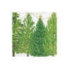 Caspari Christmas Napkins|Paper Cocktail Napkins|Christmas Trees with Lights Paper Cocktail Napkins - 20 Per Package