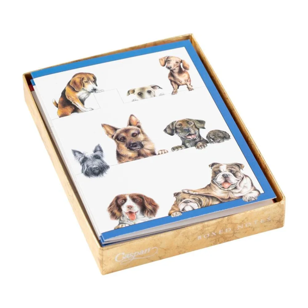 Caspari Note Cards|Dogs Boxed Note Cards - 8 Note Cards & 8 Envelopes