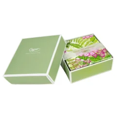 Caspari Boxed Cocktail Napkins|Fern Garden Boxed Cocktail Napkins - 40 Per Box