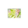 Caspari Note Cards|Fern Garden Boxed Note Cards - 8 Cards and 8 Envelopes per Package
