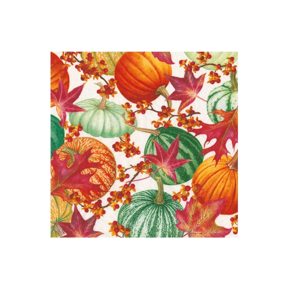 Caspari Paper Cocktail Napkins|Gourds and Leaves Recycled Cocktail Napkins - includes 20 Cocktail Napkins