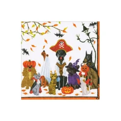 Caspari Halloween|Paper Cocktail Napkins|Halloween Pets Recycled Cocktail Napkins - includes 20 Cocktail Napkins