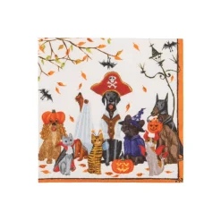 Caspari Halloween|Paper Cocktail Napkins|Halloween Pets Recycled Cocktail Napkins - includes 20 Cocktail Napkins
