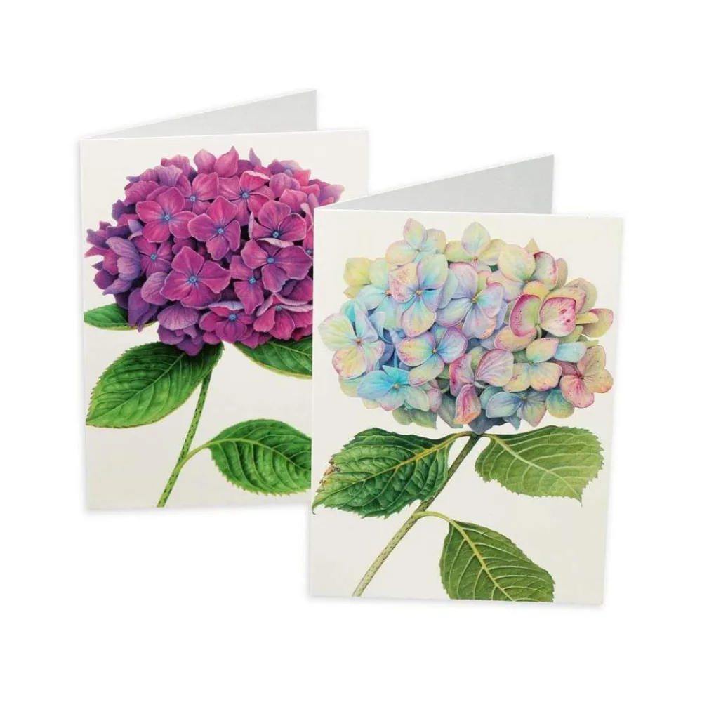 Caspari Mother'S Day|Note Cards|Hydrangeas Boxed Note Cards - 8 Note Cards & 8 Envelopes
