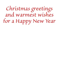 Caspari Christmas And Holiday Cards|Boxed Holiday Cards|Ice Skating at Christmas Large Boxed Christmas Cards - includes 15 cards & envelopes