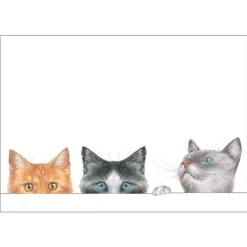Caspari Gift Tags & Enclosure Cards|Kitties Self-Adhesive Labels - 12 Per Package