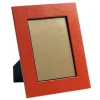 Caspari Mother'S Day|Pictures, Frames & Clocks|Lizard 5" x 7" Picture Frame in Orange - 1 Each