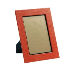 Caspari Mother'S Day|Pictures, Frames & Clocks|Lizard 4" x 6" Picture Frame in Orange - 1 Each