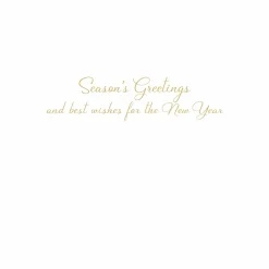 Caspari Christmas And Holiday Cards|Boxed Holiday Cards|Magnolia Wreath With Striped Bow Large Boxed Christmas Cards - includes 15 Boxed Christmas Cards & Envelopes