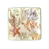 Caspari Paper Salad And Dessert Plates|Marine Study Paper Salad & Dessert Plates in Ivory - 8 Per Package
