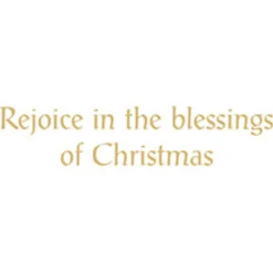 Caspari Christmas And Holiday Cards|Boxed Holiday Cards|Nativity Classic Boxed Christmas Cards - includes 15 cards & envelopes