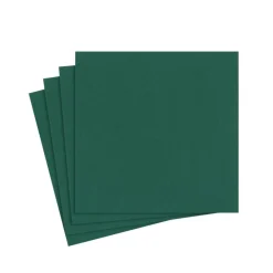 Caspari Christmas Napkins|Graduation Celebration|Paper Linen Solid Cocktail Napkins in Hunter Green - 15 Per Package