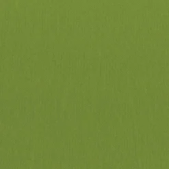 Caspari Graduation Celebration|Paper Dinner Napkins|Paper Linen Solid Dinner Napkins in Leaf Green - 12 Per Package