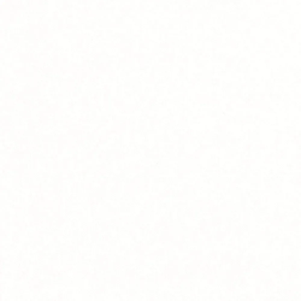 Caspari Graduation Celebration|Bridal Shower|Paper Linen Solid Dinner Napkins in White - 12 Per Package