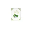 Caspari Note Cards|Potted Orchids Boxed Note Cards - 10 Cards and 10 Envelopes per Package