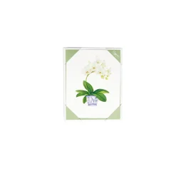 Caspari Note Cards|Potted Orchids Boxed Note Cards - 10 Cards and 10 Envelopes per Package