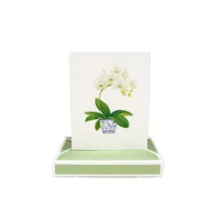 Caspari Note Cards|Potted Orchids Boxed Note Cards - 10 Cards and 10 Envelopes per Package