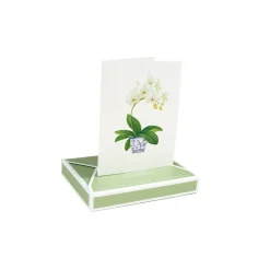 Caspari Note Cards|Potted Orchids Boxed Note Cards - 10 Cards and 10 Envelopes per Package