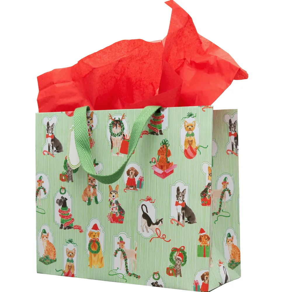 Caspari Gift & Bottle Bags|Presenting Pets Gift Bags - includes 1 Gift Bags