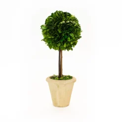 Mills Floral Christmas Decor|The Boxwood Shop|Preserved Boxwood 16" Single Ball Topiary Tree