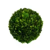 Mills Floral Christmas Decor|The Boxwood Shop|Preserved Boxwood Ball- 12"