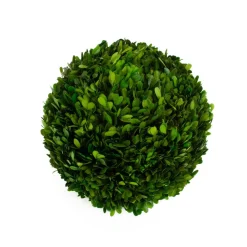 Mills Floral Christmas Decor|The Boxwood Shop|Preserved Boxwood Ball- 12"