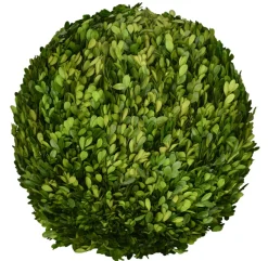 Mills Floral Christmas Decor|The Boxwood Shop|Preserved Boxwood Ball- 16"