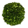 Mills Floral Christmas Decor|The Boxwood Shop|Preserved Boxwood Ball- 6"