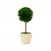 Mills Floral Christmas Decor|The Boxwood Shop|Preserved Boxwood Mini 6" Topiary Trees - Set of 4