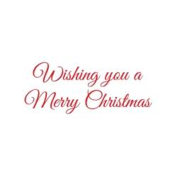 Caspari Christmas And Holiday Cards|Boxed Holiday Cards|Red Berry Wreath Petite Boxed Christmas Cards - includes 15 cards & envelopes